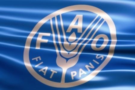 La FAO per il ritorno all’agroecologia